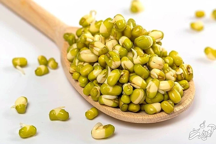 ویتامین های موجود در جوانه ماش برای کودکان جوانه ماش